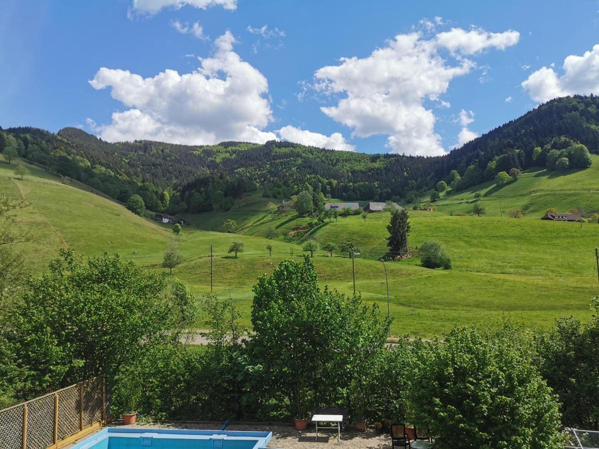 Ferienwohnung Vogelsang Im Schwarzwald Muenstertal Ngoại thất bức ảnh