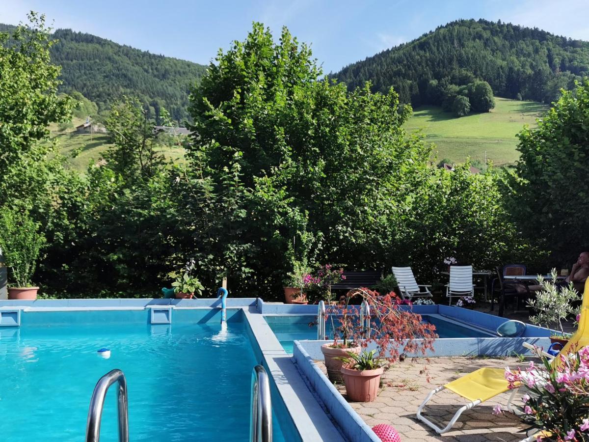 Ferienwohnung Vogelsang Im Schwarzwald Muenstertal Ngoại thất bức ảnh