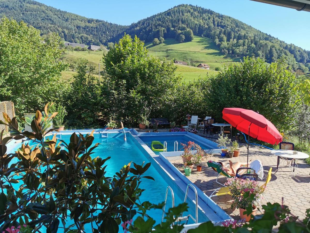 Ferienwohnung Vogelsang Im Schwarzwald Muenstertal Ngoại thất bức ảnh