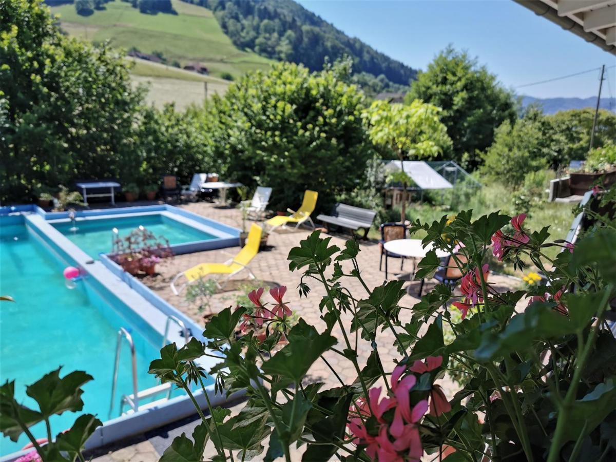 Ferienwohnung Vogelsang Im Schwarzwald Muenstertal Ngoại thất bức ảnh
