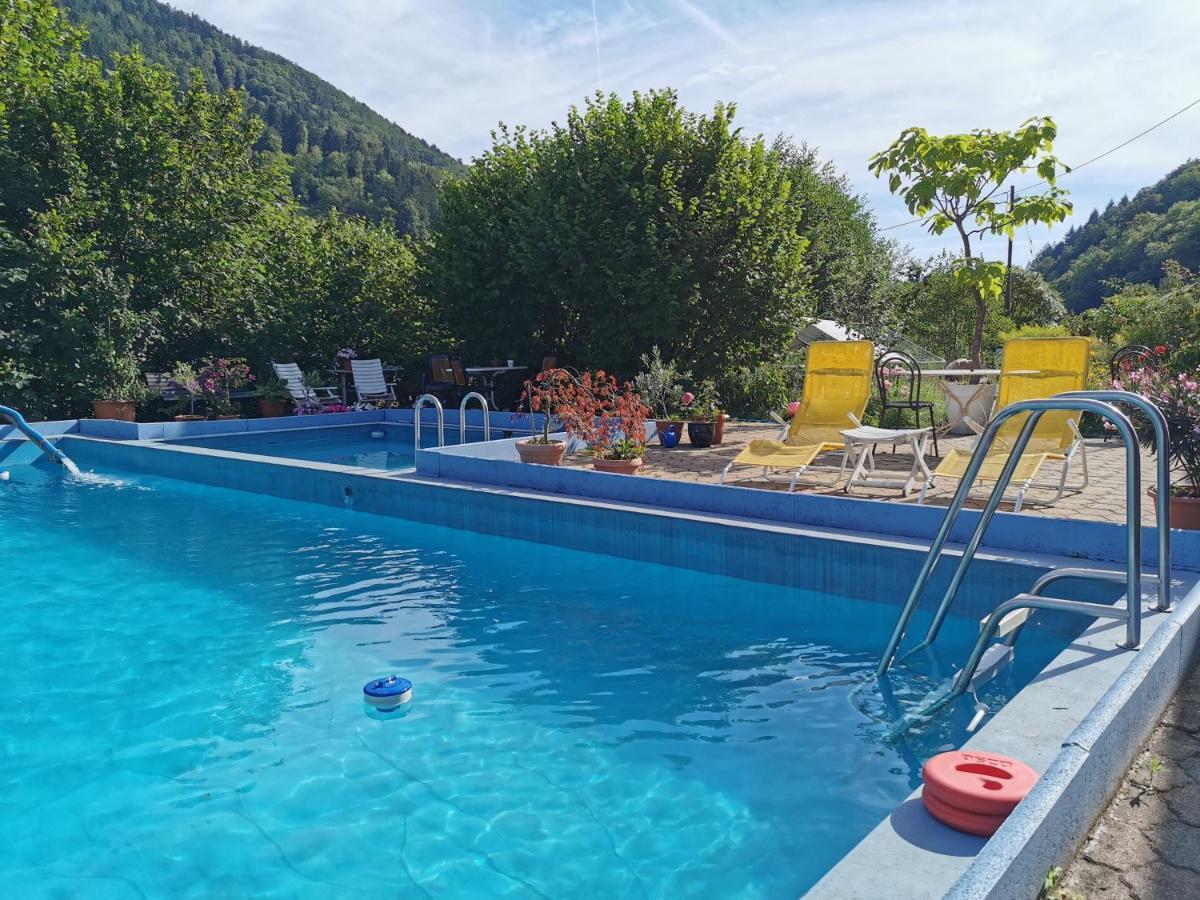 Ferienwohnung Vogelsang Im Schwarzwald Muenstertal Ngoại thất bức ảnh