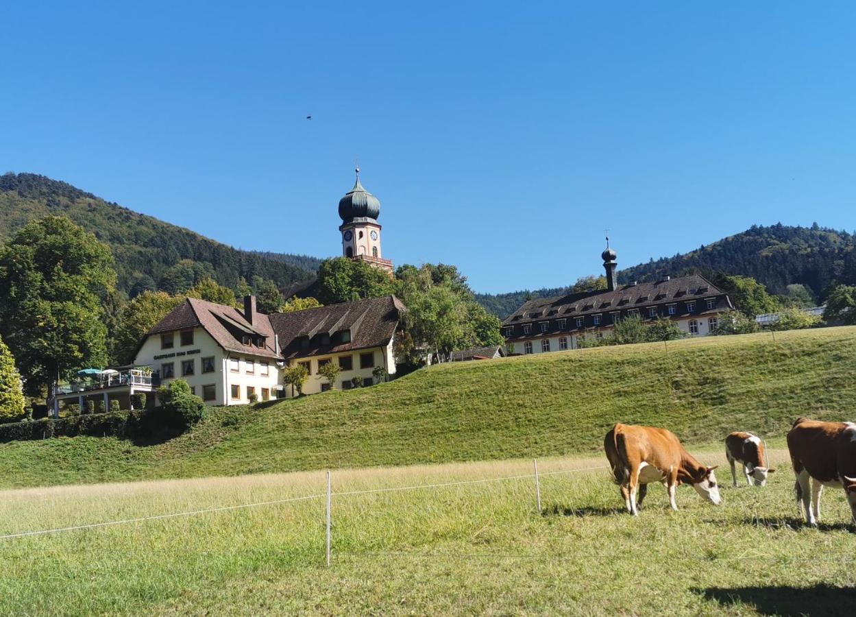 Ferienwohnung Vogelsang Im Schwarzwald Muenstertal Ngoại thất bức ảnh