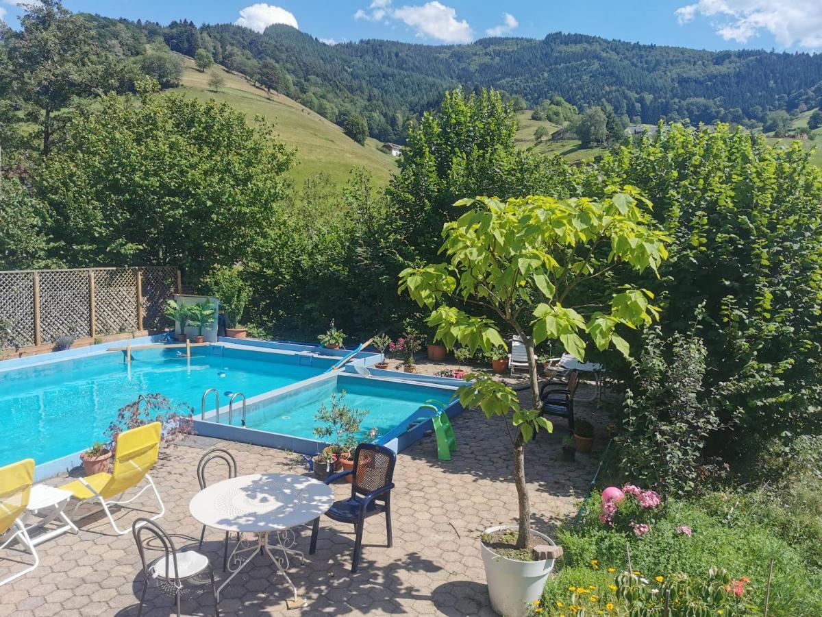 Ferienwohnung Vogelsang Im Schwarzwald Muenstertal Ngoại thất bức ảnh