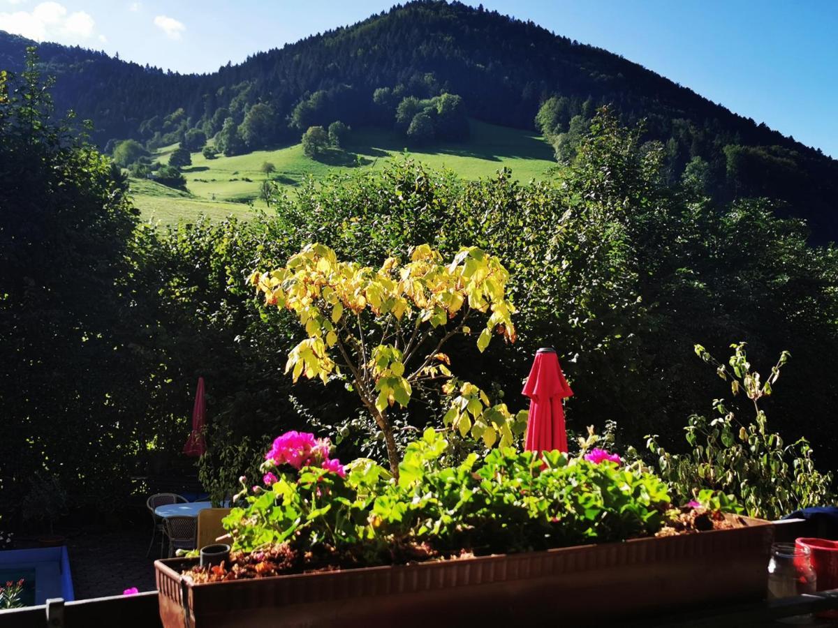 Ferienwohnung Vogelsang Im Schwarzwald Muenstertal Ngoại thất bức ảnh