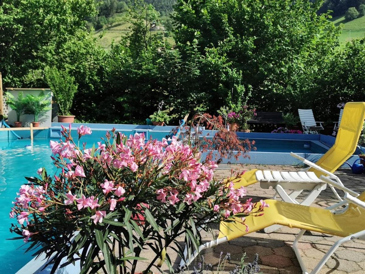 Ferienwohnung Vogelsang Im Schwarzwald Muenstertal Ngoại thất bức ảnh