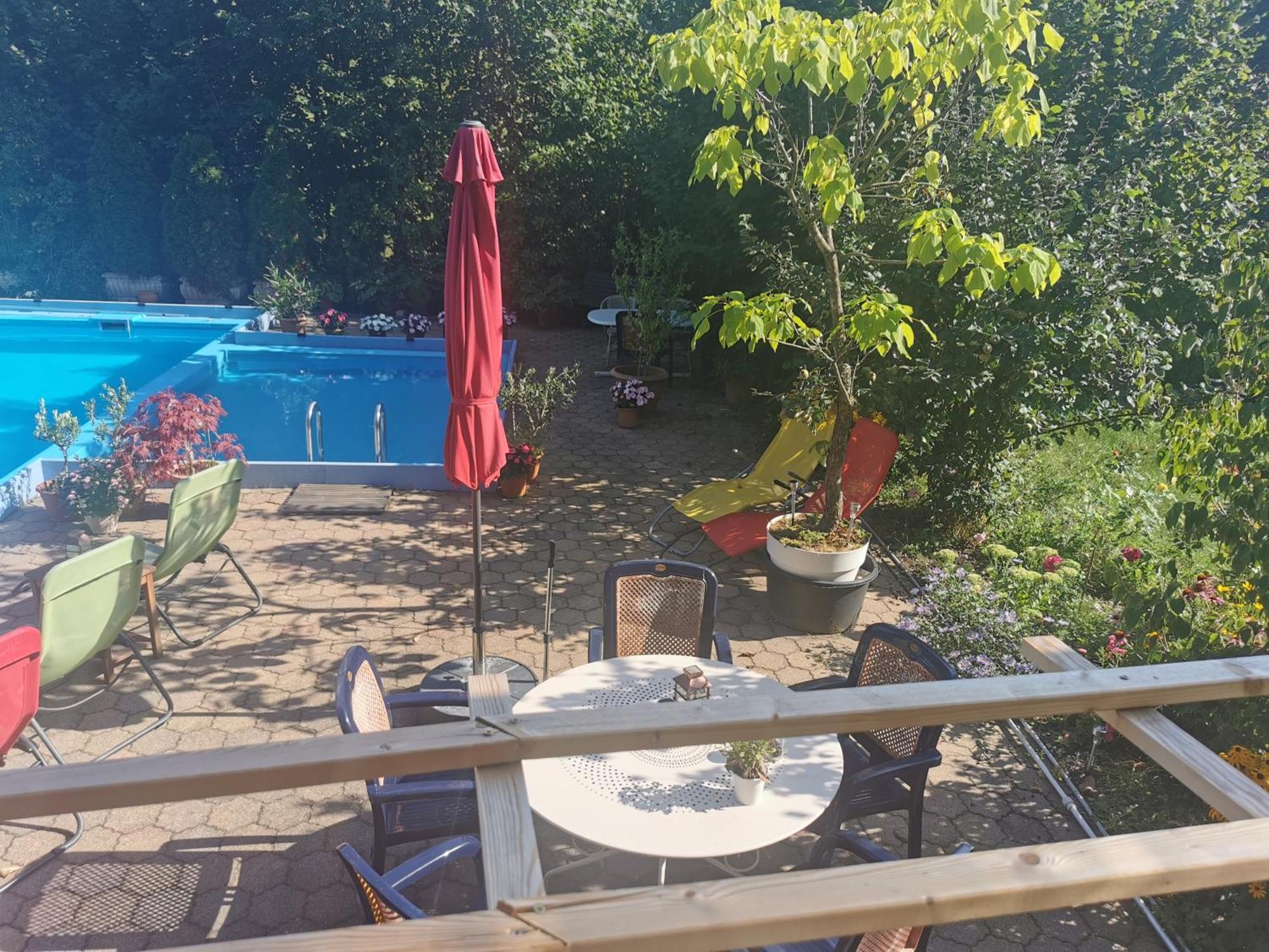 Ferienwohnung Vogelsang Im Schwarzwald Muenstertal Ngoại thất bức ảnh