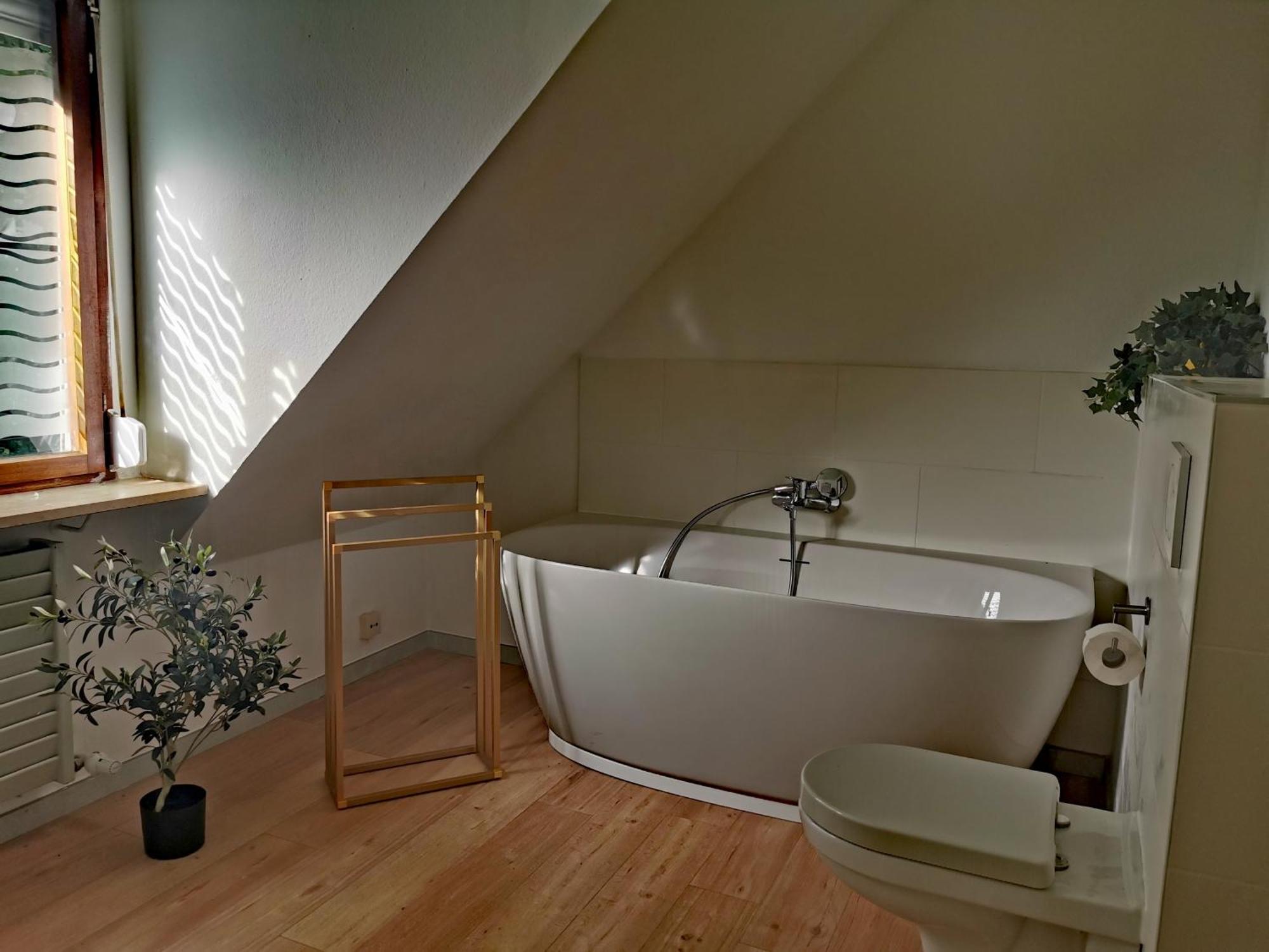 Ferienwohnung Vogelsang Im Schwarzwald Muenstertal Ngoại thất bức ảnh