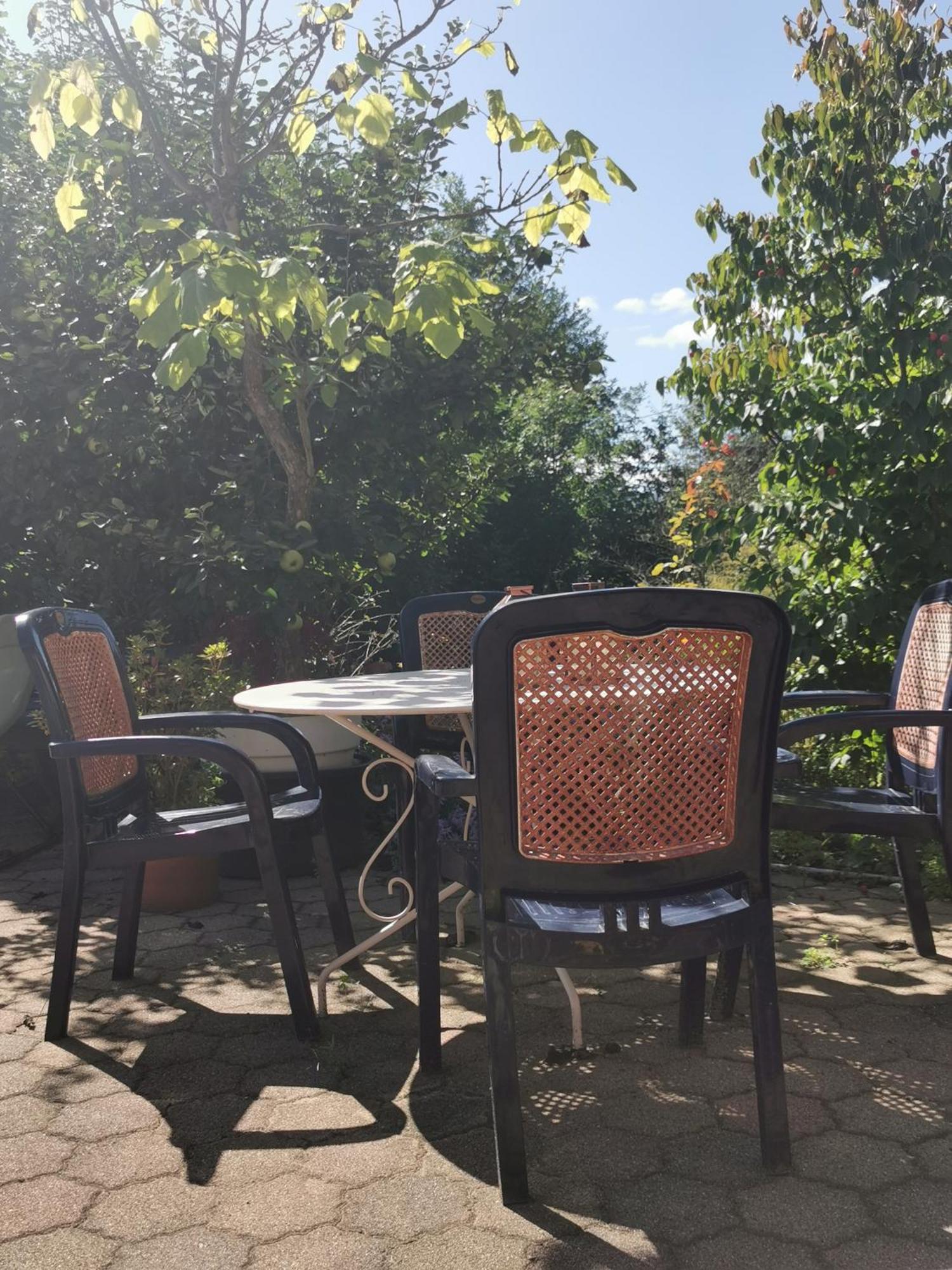 Ferienwohnung Vogelsang Im Schwarzwald Muenstertal Ngoại thất bức ảnh